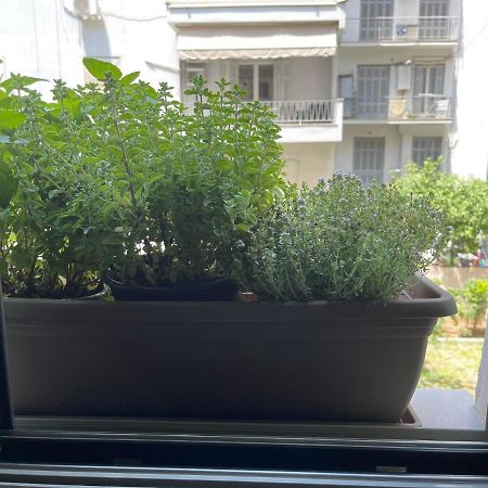 Sapfo Luxury Apartment 1 In Atene Esterno foto